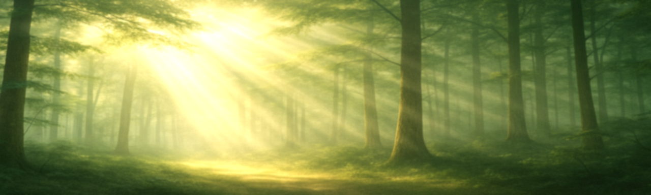 banner wald hell weich 1280x384